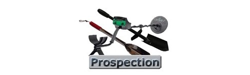 Prospection